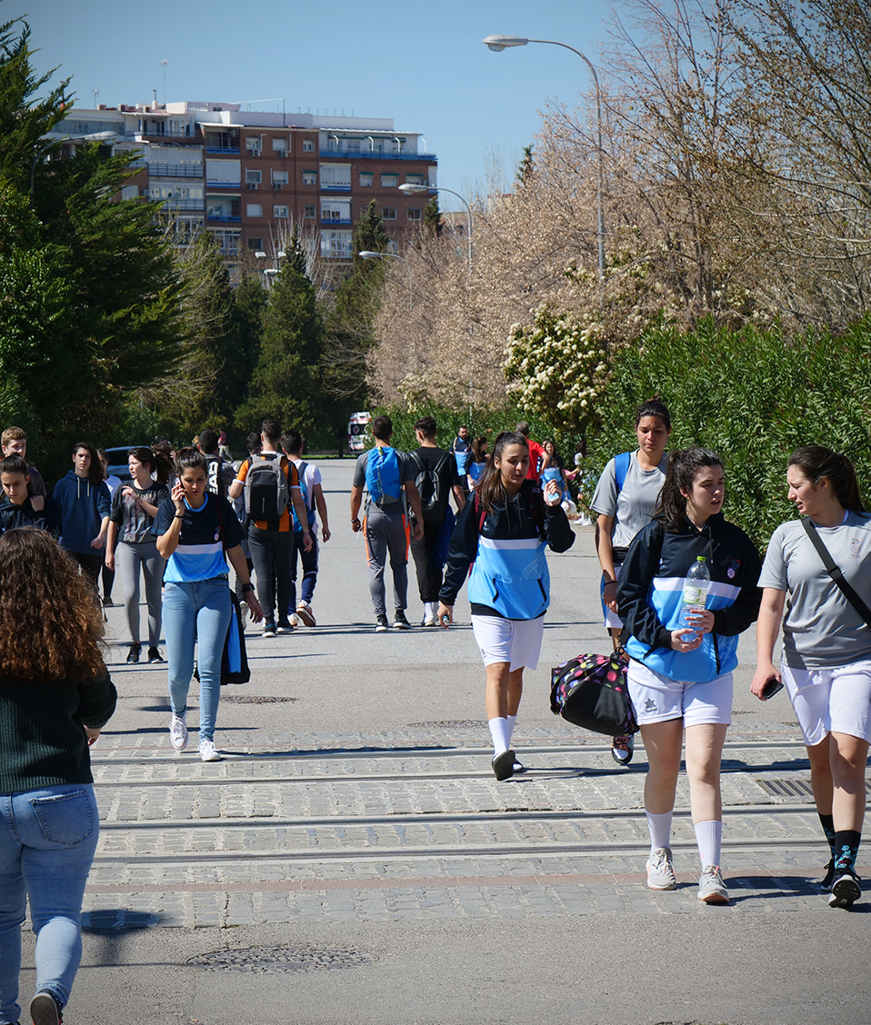 Estudiantes caminando por los paseillos universitarios